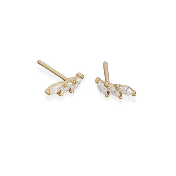 Dainty Winged Climbers
